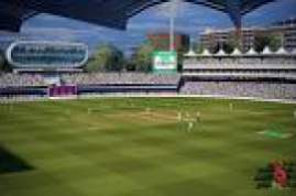 Cricket 19